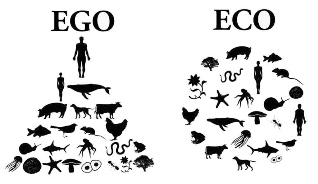Egocentrismo: Showman!
