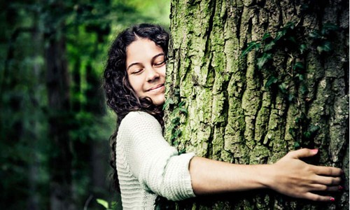 Abbraccia un albero: riduce l’ansia e lo stress