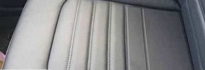 Cosa vedete sul sedile dell’auto? L’effetto ottico è incredibile