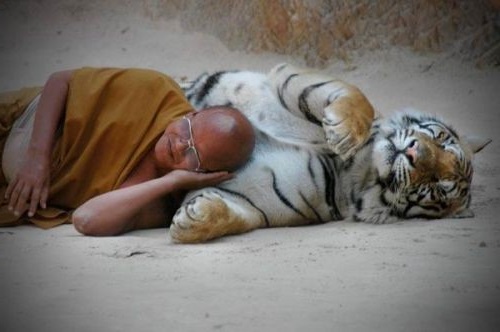 Perché fa bene dormire sul fianco sinistro